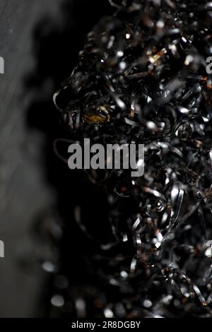 Ansicht von oben aus Edelstahl Drahtgeflecht Küchenwäscher zum Schrubben Reinigung Metallschwamm Clean Ball auf schwarzem Hintergrund gebrauchtes Reinigungsmittel Makro High q Stockfoto