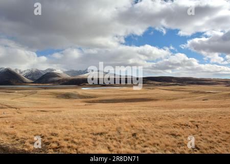 Am Fuße der schneebedeckten Berge liegt an einem bewölkten Herbsttag eine riesige, flache Steppe mit gelbem trockenen Gras. Chui Steppe, Altai, Sibirien, Russland. Stockfoto