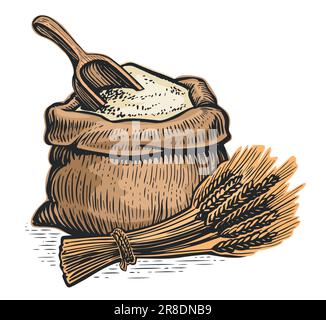 Weizenohren, Mehl im Sack mit Holzlöffel. Biologisches Bauernfutter. Vektordarstellung Stock Vektor