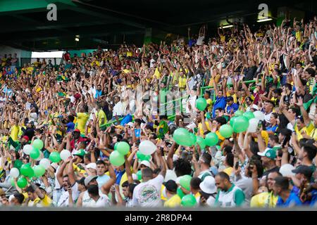 Lisboa, Portugal. 20. Juni 2023. Brasilianische Fans während des freundlichen Fußballspiels zwischen Brasilien und Senegal im José Alvalade Stadium in Lissabon, Portugal, am Dienstag, den 20. Juni 2023. (Foto: Bruno de Carvalho) Kredit: Brazil Photo Press/Alamy Live News Stockfoto