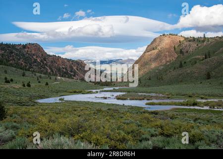 Leavitt Falls und Leavitt Meadow befinden sich auf der Ostseite des Sonora Pass in der Sierra Nevada von Kalifornien. Stockfoto