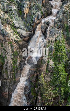 Leavitt Falls und Leavitt Meadow befinden sich auf der Ostseite des Sonora Pass in der Sierra Nevada von Kalifornien. Stockfoto