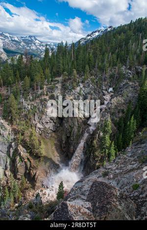 Leavitt Falls und Leavitt Meadow befinden sich auf der Ostseite des Sonora Pass in der Sierra Nevada von Kalifornien. Stockfoto