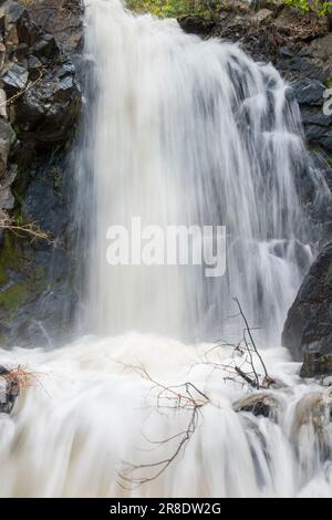 Leavitt Falls und Leavitt Meadow befinden sich auf der Ostseite des Sonora Pass in der Sierra Nevada von Kalifornien. Stockfoto