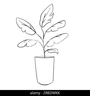 Bananenbaumlinien im Kunststil. Konturzeichnung von Bananenblättern. Tropischer Modedruck in minimalistischem Stil für Innendekoration und Postkarten Stock Vektor