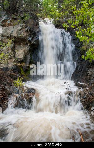 Leavitt Falls und Leavitt Meadow befinden sich auf der Ostseite des Sonora Pass in der Sierra Nevada von Kalifornien. Stockfoto