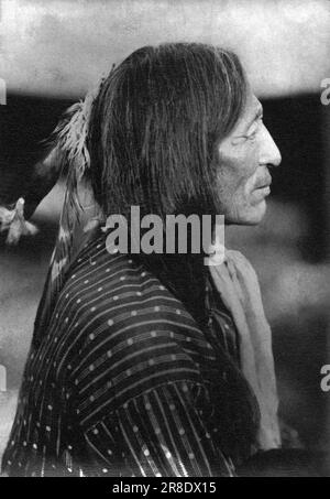 South Dakota: 1898 Ein Porträt von Iron Tail, Oglala Sioux Chief, der einer der drei Häuptlinge der amerikanischen Ureinwohner war, die das zusammengesetzte Profil auf dem Buffalo Nickel kreierten. Das Bild wurde von der ursprünglichen Glasplatte aus dem Jahr 1910 gedruckt. Iron Tail starb 1916. Stockfoto