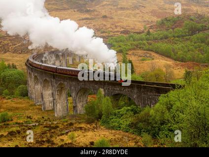 Der Jakobitenzug fährt über das Glenfinnan-Viadukt. Auch bekannt als der Hogwarts Express aus den Harry Potter Filmen. Stockfoto