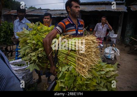 Gemüsegroßhandelsmarkt in Churamonkati, Jashore, Bangladesch Stockfoto