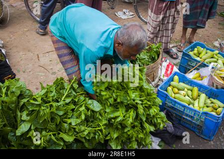 Gemüsegroßhandelsmarkt in Churamonkati, Jashore, Bangladesch Stockfoto