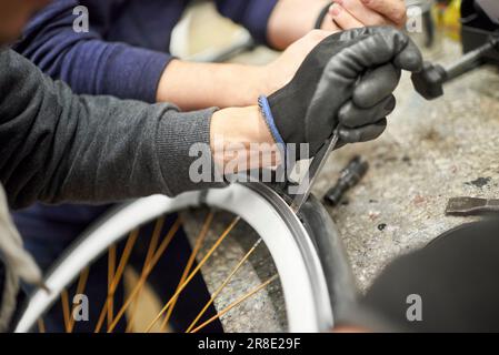 Zwei unbekannte Männer entfernen einen luftlosen Reifen von einem Rad in einer Fahrradwerkstatt. Selektive Fokuszusammensetzung mit Kopierbereich. Stockfoto