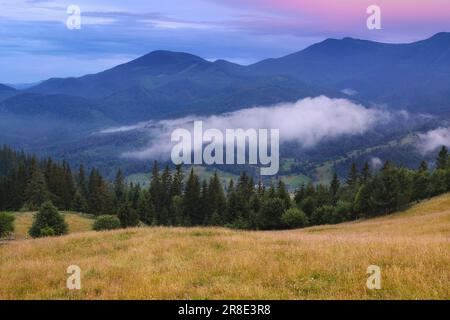 Ukraine, Region Iwano Frankiwsk, Bezirk Werchowna, Dorf Dzembronja, rollende Landschaft in Karpaten Stockfoto