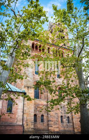 Die kaiserliche Kathedrale von Speyer, Deutschland, eine romanische römisch-katholische Kathedrale, die seit 1981 zum UNESCO-Weltkulturerbe gehört Stockfoto