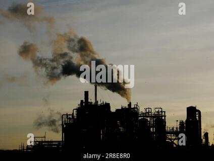 Aktenfoto vom 13. Oktober 11/06 mit einer allgemeinen Ansicht der Raffinerie Ineos Grangemouth am Tag. Der Übergang der Raffinerie zu einer Netto-Null-Wirtschaft darf keine Gemeinden zurücklassen, hat ein Holyrood-Ausschuss gewarnt. Die Pläne für eine kohlenstoffarme Wasserstoffanlage gehören zu den Schritten, die die petrochemischen Riesen Ineos an ihrem Standort in Grangemouth Unternehmen, um ihre NettoNull-Ziele für 2045 zu erreichen, was den Ambitionen der schottischen Regierung entspricht. Ausgabedatum: Mittwoch, 21. Juni 2023. Stockfoto