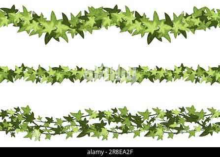Nahtlose horizontale Trennwände aus grünem Efeu. Vektorsatz für botanische Grenze, Kletterreben und Zweiglinien. Bunte Blätter und Blätter. Natürlich Stock Vektor