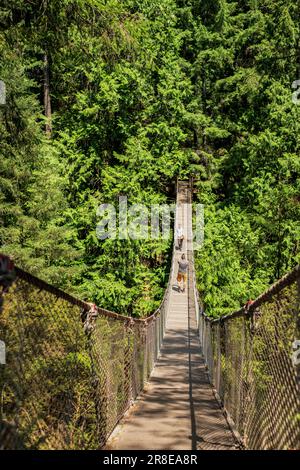 Touristen, Wanderer, die auf der Hängebrücke im Lynn Canyon Park in Vancouver spazieren gehen - es ist 50 Meter (160 Fuß) hoch vom Grund des Canyons. Ist eins Stockfoto