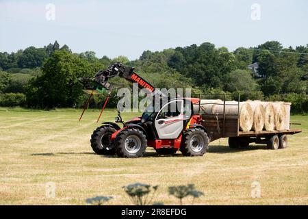 Traktor von Manitou, der einen Anhänger mit Heuballen zieht, Warwickshire, Großbritannien Stockfoto