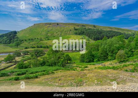 Blick über Swaledale in Richtung des Flusses Swale und Kisdon Hill im Yorkshire Dales National Park Stockfoto