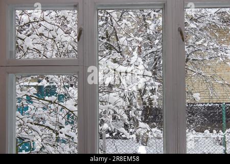 Schnee auf einem Baum vor dem Fenster Stockfoto