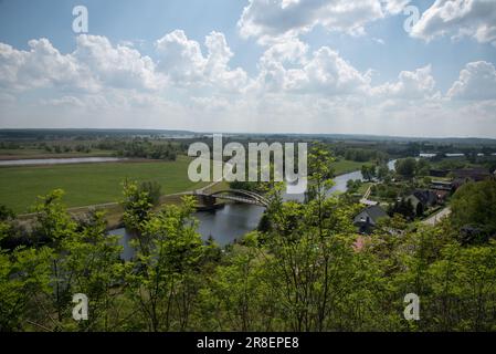 Der Nationalpark Lower oder Valley schützt einige Überschwemmungsgebiete mit einigen natürlichen Buchenwäldern an der polnisch-deutschen Grenze Stockfoto