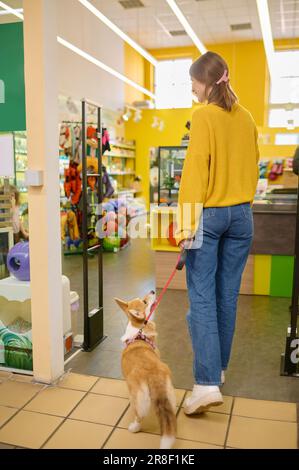 Rückblick auf die junge Frau und ihren Hund Corgi, die in der Zoohandlung herumlaufen Stockfoto