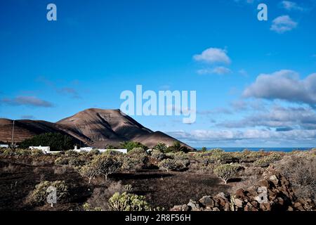 Ein malerischer Blick auf eine Bergkette mit üppigen grünen Sträuchern und Büschen im Vordergrund Stockfoto