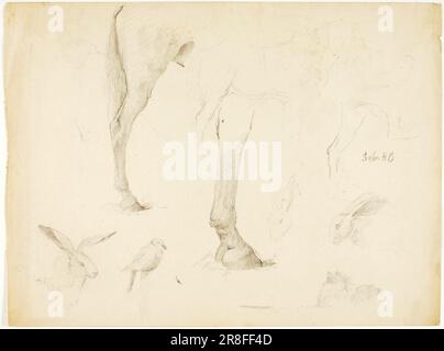 Horse Study and Rabbits n.d. von Solon H. Borglum, geboren in Ogden, UT 1868, gestorben in Stamford, CT 1922 Stockfoto