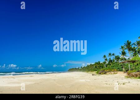 Atemberaubender Sargi-Strand umgeben vom Meer und Kokospalmen in Serra Grande an der Küste von Bahia Stockfoto