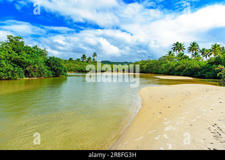 Fluss mit grünem Wasser, der durch die Mangrovenvegetation und den Regenwald in Serra Grande im Bundesstaat Bahia fließt Stockfoto