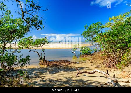 Treffpunkt zwischen Mangroven, Fluss, Sand und Meer am Sargi Beach in Serra Grande an der Südküste von Bahia Stockfoto