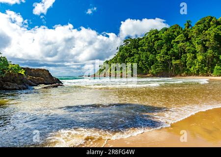 Fluss fließt ins Meer am idyllischen Ribeira Strand, umgeben von tropischen Wäldern in Itacare an der Küste von Bahia Stockfoto