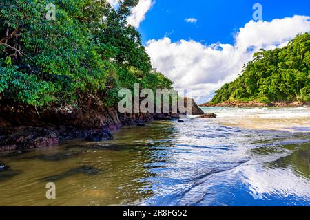 Paradiesischer und erhaltener Strand in Itacare in Bahia zwischen tropischem Wald und Felsen Stockfoto
