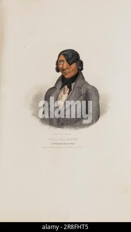 WAA-BA-SHAW; Ein gefeierter Sioux Chief aus dem Aboriginal Portfolio 1835 von James Otto Lewis, geboren in Philadelphia, PA 1799, gestorben in New York City 1858 Stockfoto