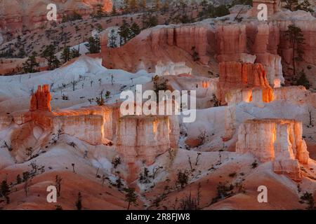 Erste Sonnenstrahlen auffällig die Hoodoos im Bryce Canyon Stockfoto