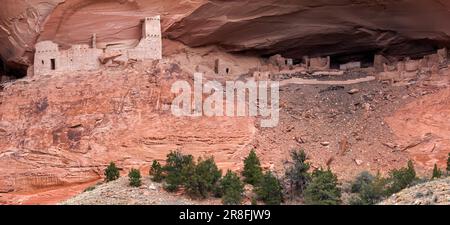 Mummy Cave Ruinen Canyon del Muerto Stockfoto