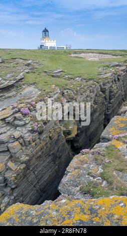 Der unbemannte Brough of Birsay Lighthouse im Sommer. Es wurde 1925 von David A Stevenson erbaut. Es liegt am Brough of Birsay, einem unbewohnten Ort Stockfoto