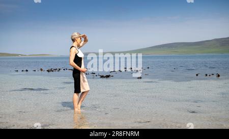 Frau in einem eleganten Kleid, die barfuß an einem Sandstrand auf den Orkney Isles, Schottland, Großbritannien, spaziert Stockfoto