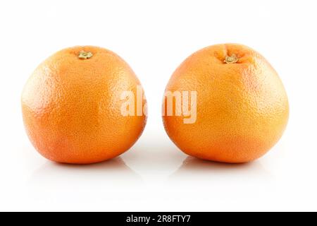 Zwei Reife nasse Grapefruits mit Blättern, Isolated on White Background Stockfoto