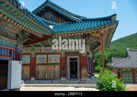 Sokcho, Südkorea - 17. Juni 2023: Der Seoraksan Sinheungsa Tempel ist ein buddhistischer Tempel in Sokcho, Südkorea. Stockfoto