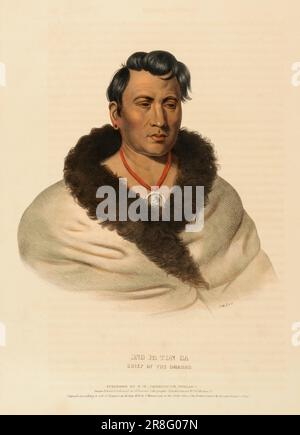 LONG PA TON GA. HÄUPTLING DER OMAHAS, aus der Geschichte der indischen Stämme Nordamerikas. 1838 von McKenney und Hall, 1836-1844 Stockfoto