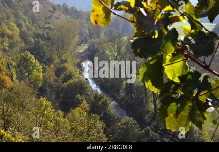 Enz-Tal im Herbst bei Mühlhausen, Mühlacker, Enz Stockfoto