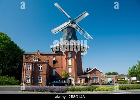 Windmühle Deich, Galleriehollaender, Norden, Ostfriesien, Niedersachsen, Deutschland Stockfoto