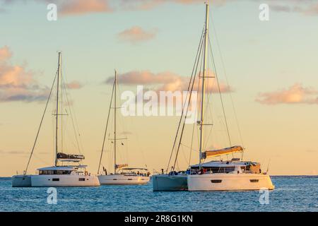 Katamarane und Yachten ankern in Tobago Cays in Synset Rochen, St. Vincent und die Grenadinen, Karibik Stockfoto