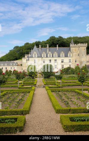 Schloss Villandry und Schlossgarten, Chateau de, Indre-et-Loire, Loire-Tal, Zentrum, Frankreich Stockfoto