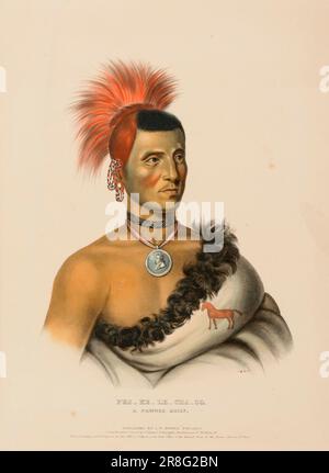 PES-KE-LE-CHA-CO, EIN PAWNEE-HÄUPTLING, aus der Geschichte der Indianerstämme Nordamerikas. 1841 von McKenney und Hall, 1836-1844 Stockfoto