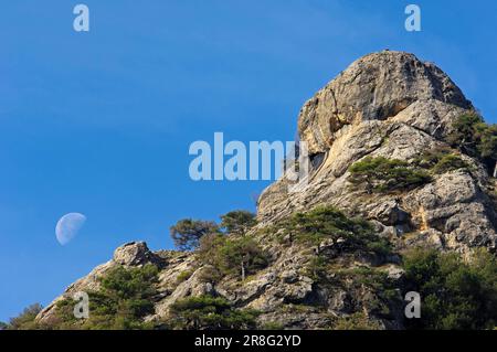 Berge mit Schwarzen Kiefern, Sierra und europäischen Schwarzen Kiefern (Pinus nigra), Sierra de Cazorla, Segura y Las Villas Nationalpark, Jaen, Andalusien Stockfoto