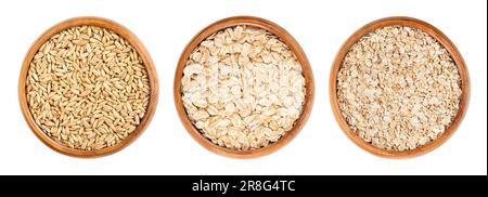 Haferkörner, gerollter Hafer und Hafermehl in Holzschüsseln. Geschälter Hafer, Avena sativa, Getreidekörner. Gedünstete Hafergrobgrieß-Dehuskierung. Stockfoto