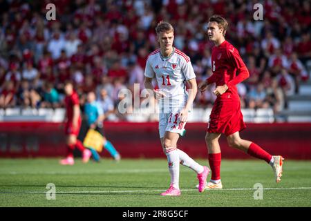 Vejle, Dänemark. 20. Juni 2023. Patrick Jones (11) aus Wales beim Qualifikationsspiel U21 zwischen Dänemark und Wales im Vejle Stadion in Vejle. (Foto: Gonzales Photo/Alamy Live News Stockfoto