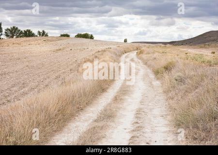 Kurvenreiche Schotterstraße von Hontanas nach San Anton, Provinz Burgos, Kastilien und Leon, Spanien Stockfoto