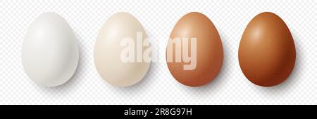 6 Six Vector 3D Realistic White, Brown Chicken Eggs in geöffneter Pappschachtel, Behälter, Verpackung. Strukturiertes Hühnerei-Set, Isoliert. Vektor Stock Vektor